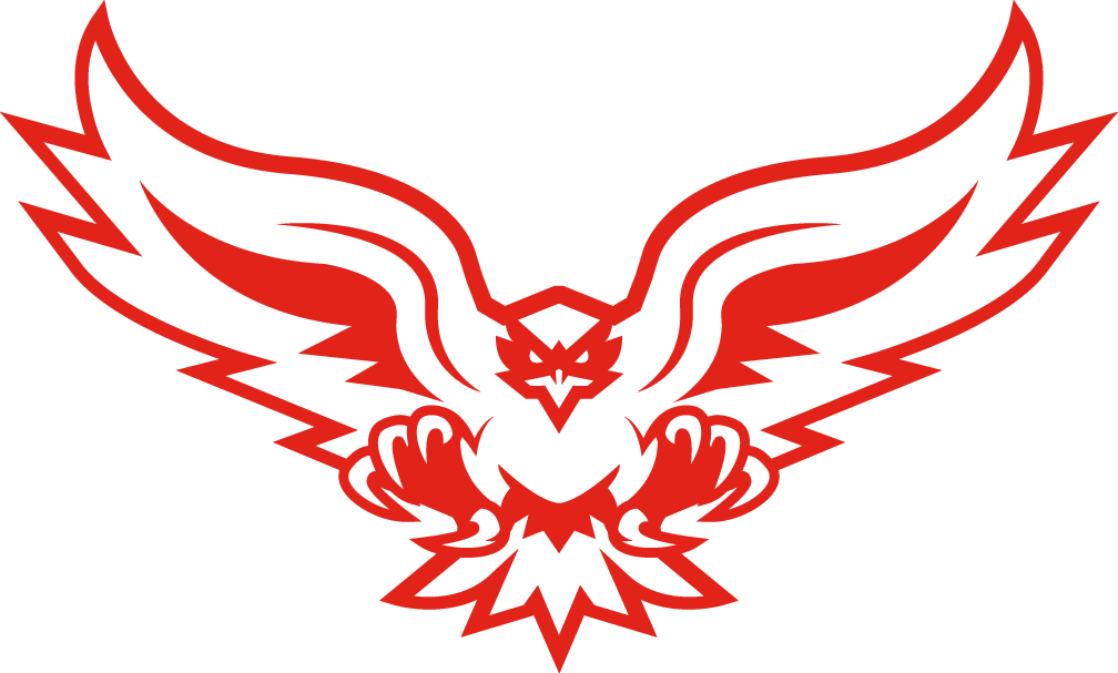 Hartford Hawks 2015-Pres Alternate Logo v4 iron on transfers for T-shirts